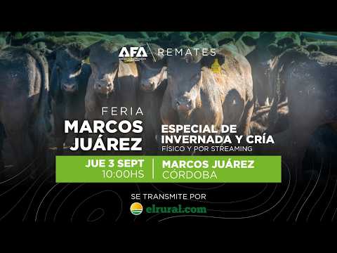 Remate AFA Especial de Invernada desde Marcos Juárez (Córdoba)
