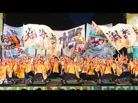 商学科 【正面】【小樽商科大学"翔楽舞"】2025年度作品「群笑」2025年6月8日ファイナル審査ステージin YOSAKOIソーラン祭り_YOSAKOI SORAN FESTIVAL