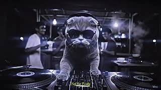 Download lagu DJ ASMARA KERINDUAN SOUND REGGAE SLOW TERBARU MAKIN LAMA MAKIN ENAK VIRAL TIKTOK TERBARU 2026 mp3 Download lagu DJ ASMARA KERINDUAN SOUND REGGAE SLOW TERBARU MAKIN LAMA MAKIN ENAK VIRAL TIKTOK TERBARU 2026 mp3