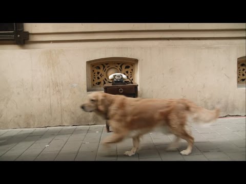 HFArt: U mě doma ne