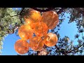 8 Crystal Orange Helium Balloons Playing And Popping In Trees 4K Forest Balloon Play To Pop 53