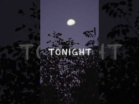 Man on the moon (Arc North Remix)