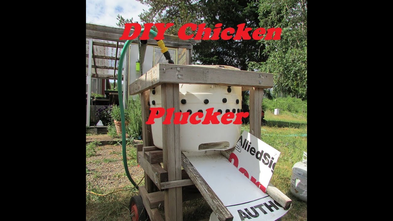 DIY homemade chicken plucker design