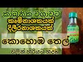 කොහොඹ තෙල් වලින් කෘමි නාශක සහ දිලීර නා