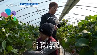 [185회_2부] 딸기 부부의 금쪽같은 내 딸기