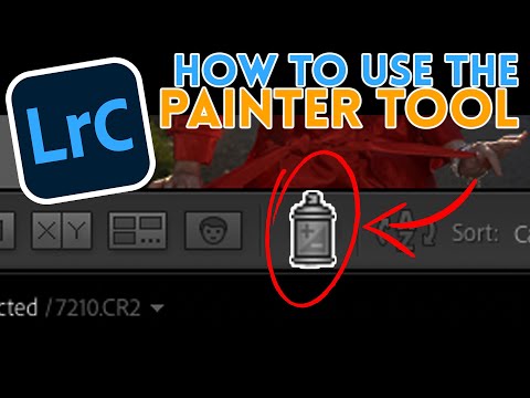 How to Use Lightroom's Painter Tool in 2 Minutes | Samy's PhotoSchool