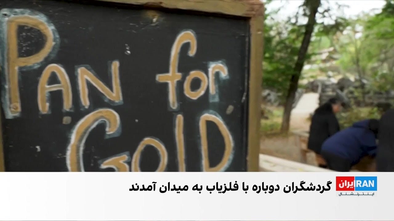 افزایش قیمت جهانی طلا جویندگان را به شمال کالیفرنیا بازگرداند