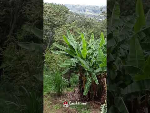 Lote en venta | Cirrí de Naranjo, Alajuela                 26 2100