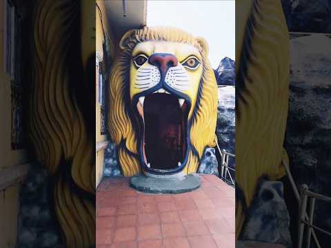 NAYI SUBAH KI NAYI KIRAN🪔 | Best Amritvela Song | Bk Song #shorts #bksongs #ujjain #temple #bhajan