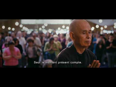 VOYAGE EN PLEINE CONSCIENCE - Bande Annonce VOST