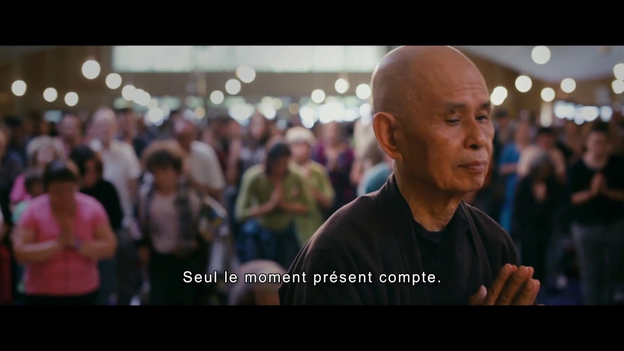 Miniature de la vidéo VOYAGE EN PLEINE CONSCIENCE - Bande Annonce VOST du film Voyage en pleine conscience