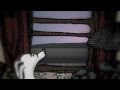 TEITUR "YOU NEVER LEAVE LA" (HD Official Video) from LET THE DOG DRIVE HOME