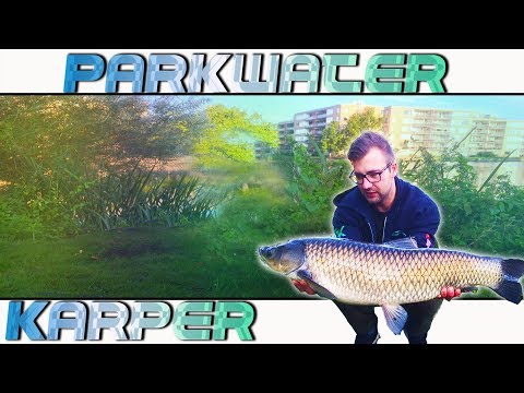 download lagu mp3 mp4 Janieck Spithoff, download lagu Janieck Spithoff gratis, unduh video klip Janieck Spithoff