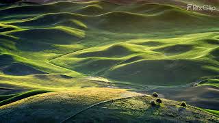 Bob Dylan 21-Mar-2000 ~ Beasley Performing Arts Coliseum, Pullman, USA (Complete Audio)