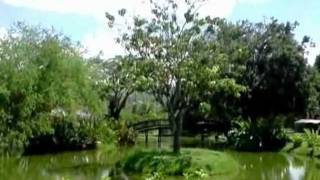 preview picture of video 'Jardin Hermoso en Casa campestre en el Valle del Cauca en Colombia'