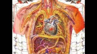 Strung Out - Your Worst Mistake