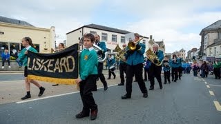 preview picture of video 'Liskeard Furry Dance 2013'