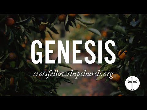 De-Creation and Re-Creation / Genesis 7:6-8:19