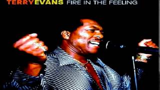 Terry Evans - I'll Be Your Shelter (In The Time Of Storm)