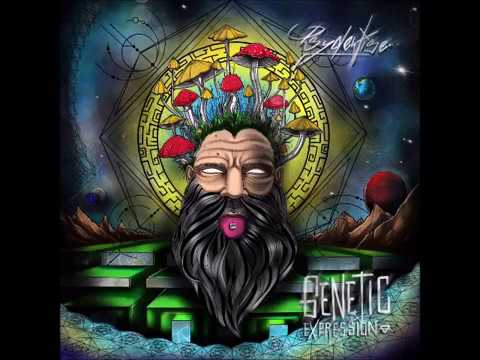 Psydewise-Grid Licker