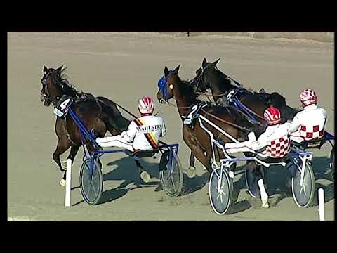 Trotto 13/12/2020 - 4ª corsa