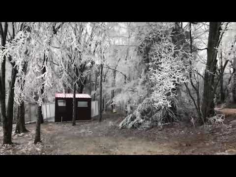 Arkansas winter 2021