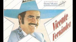 Vicente Fernandez Por Un Amor