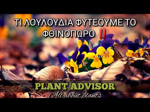 , title : 'Τι Λουλούδια Φυτεύουμε το Φθινόπωρο ⁉️Plant Advisor Greece'