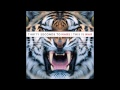 Thirty Seconds to Mars - 100 Suns #5 