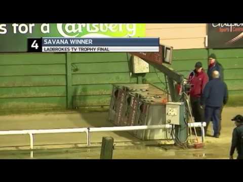2018 LADBROKES TV TROPHY FINAL - T4 SAVANA WINNER