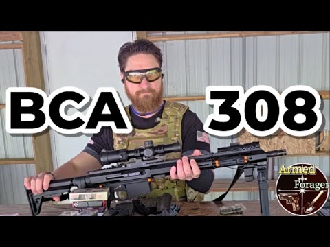 Bear Creek Arsenal 308 Upper-BCA AR10, 308 Winchester (7.62 x 51mm) Nato Review! PSA Lower. Palmetto