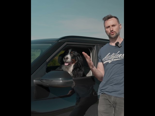 Zo veilig dat zelfs je hond er mee kan rijden! #kia #ev2