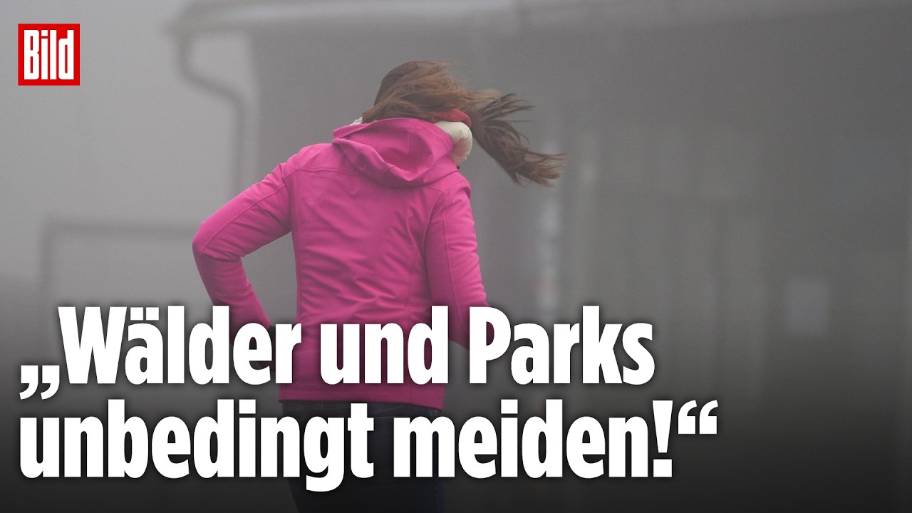STURM-ALARM FÜR DEUTSCHLAND: Wetterexperte warnt vor Gefahr in Wäldern und Parks