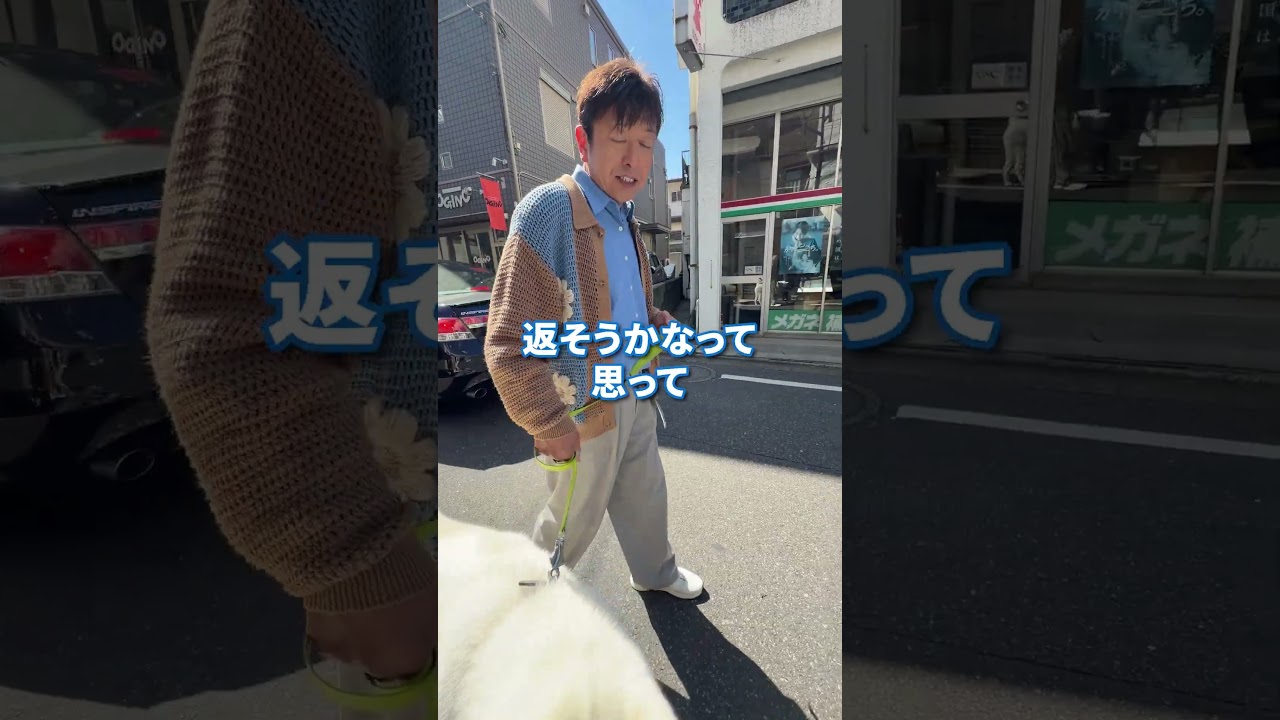 真っ白な秋田犬を撮ってみた