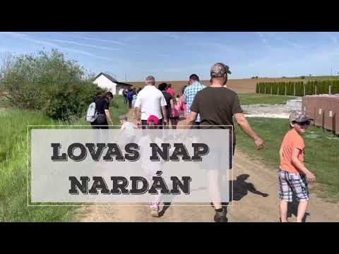 Lovas családi nap, Narda (2022.május 14)