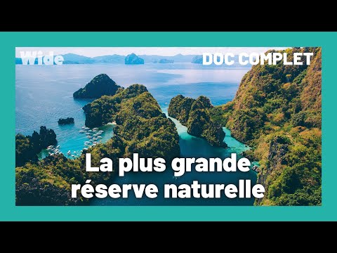 Palawan: an unexplored island | WIDE