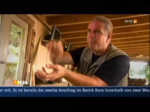 Raubkatzen Power Teil 2