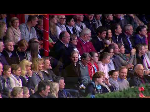 For Romance II Hengstkollektion Englisch 2019