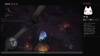ルナのモンスター狩る枠　4枠目　声なし　サブクエ