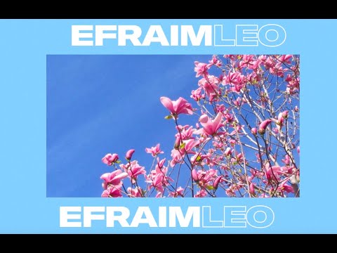 Efraim Leo - One of Them Girls (Official Lyric Video)
