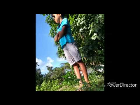 Criando Fotos Tumblr | Tiago César