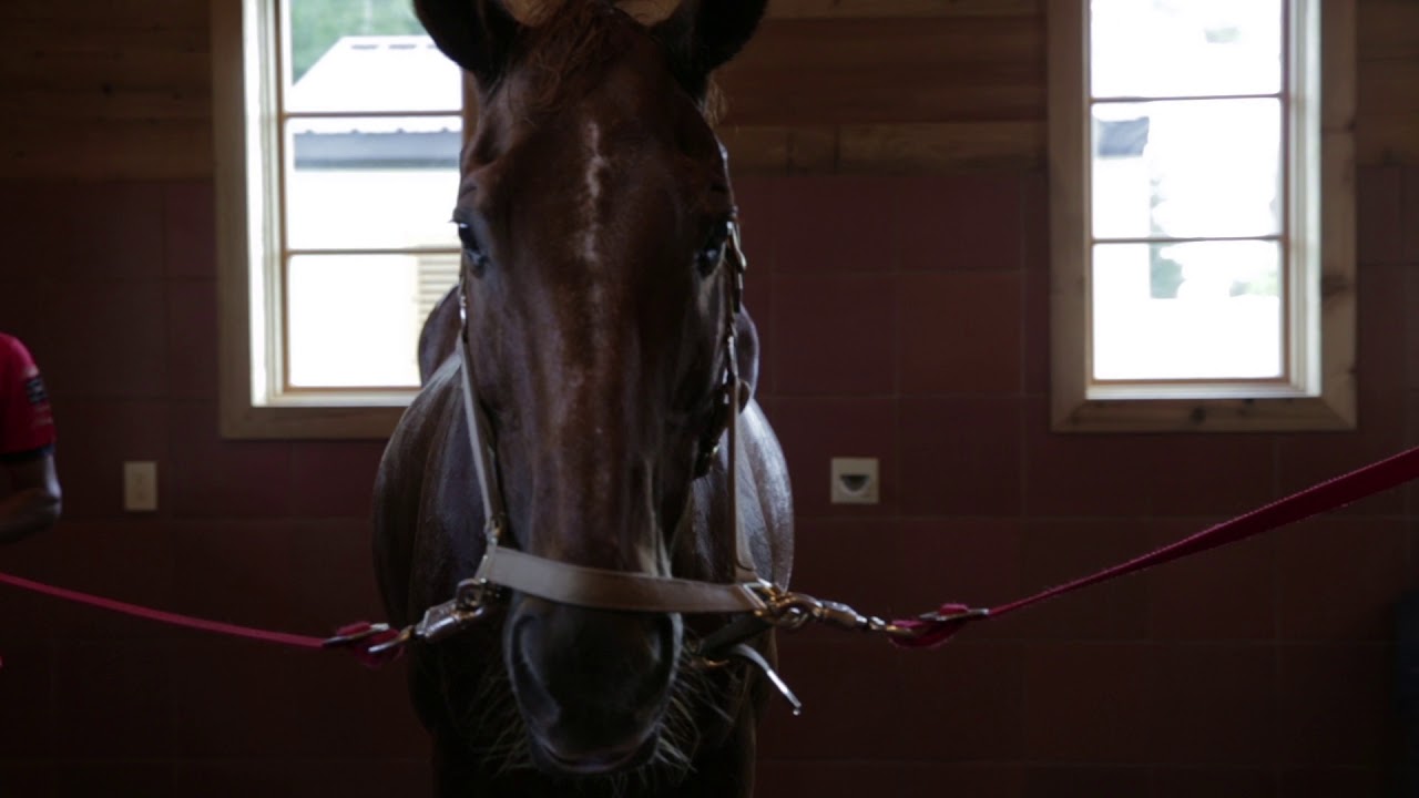 6 W Rivercrest Drive