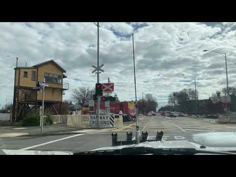P15 Crossing Lydiard St Ballarat (27/8/22)