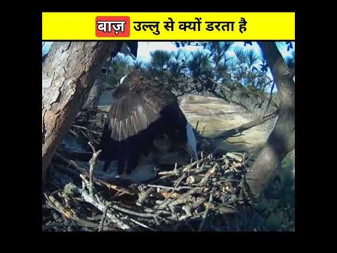 Baaj ulu se kyu drata hh🤟🙏