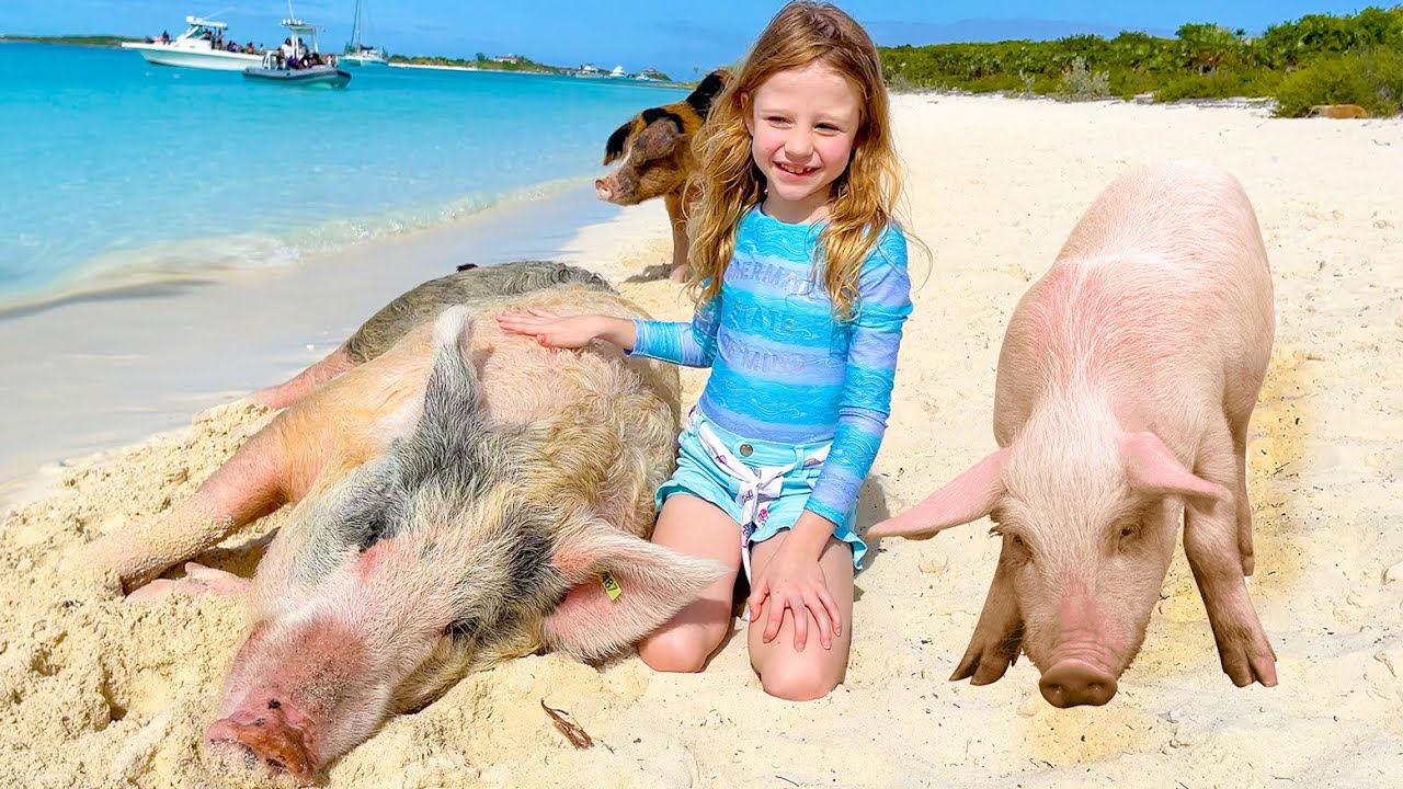 Настя - поездка на свиней остров. Nastya and her Family trip to the pig island