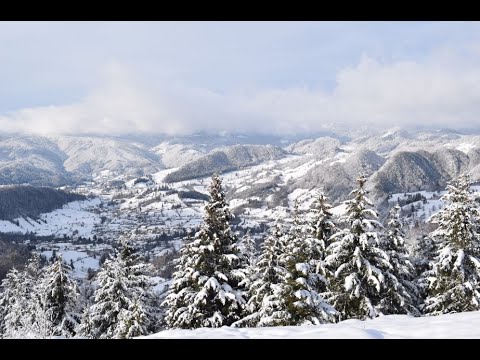 Culoarul Rucar - Bran, vedere spre Podul Dambovitei