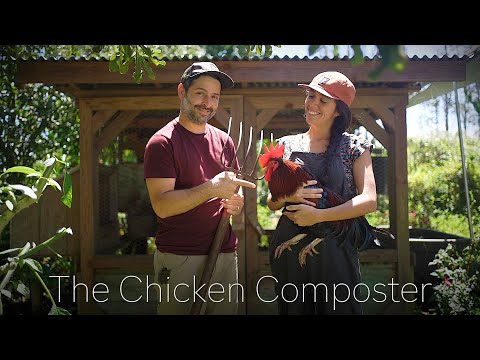 The Best and Easiest Way to Make Compost Using Chickens