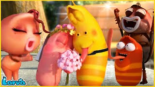 Download lagu LARVA | WEDDING | CARTOON MOVIE FOR LIFE |THE BEST OF CARTOON | HILARIOUS CARTOON COMPILATION mp3 Download lagu LARVA | WEDDING | CARTOON MOVIE FOR LIFE |THE BEST OF CARTOON | HILARIOUS CARTOON COMPILATION mp3