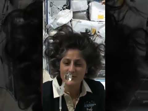 How scientists drink water in space Drinking water in space Sunita Williams Space Science #shorts