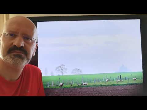 Spruch des Tages - Folge 90 - 2020.07.08